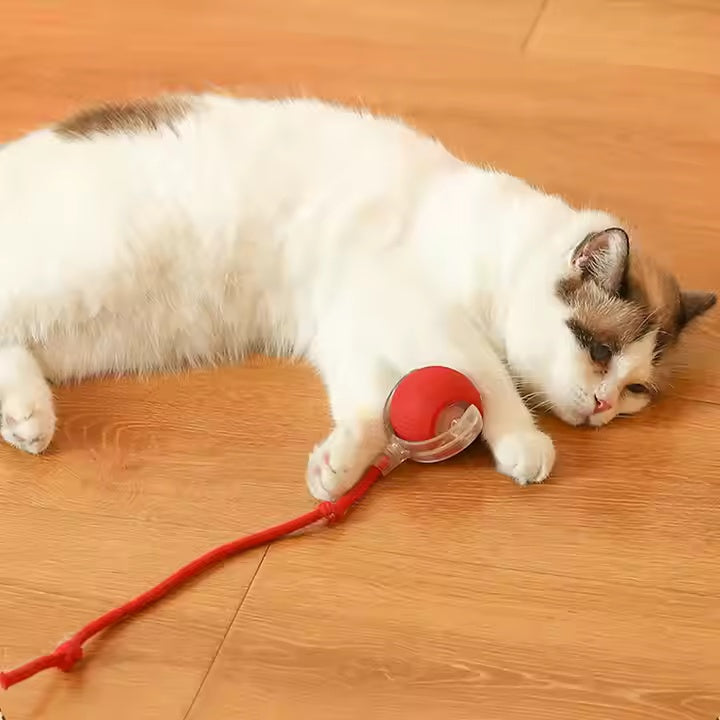 SmartBall™ - Juguete interactivo para mascotas